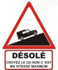 Auto tamponneuse La Plaque Publicitaire Renault 4L Roulez Jeunesse 20 x 15 cm